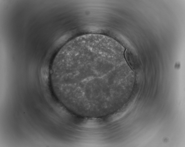 X0000101970072200808151348