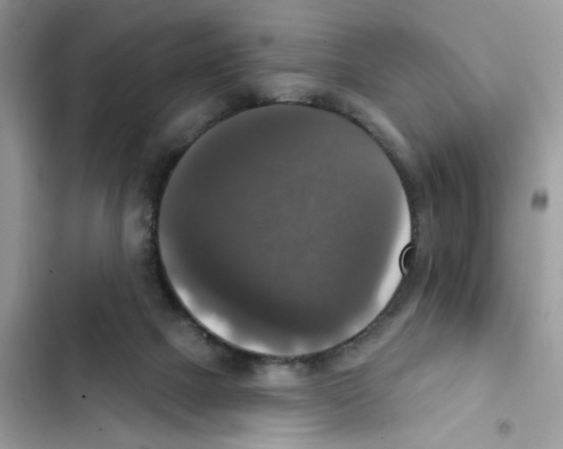 X0000101970073200808151348