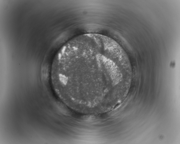 X0000101970074200808151348