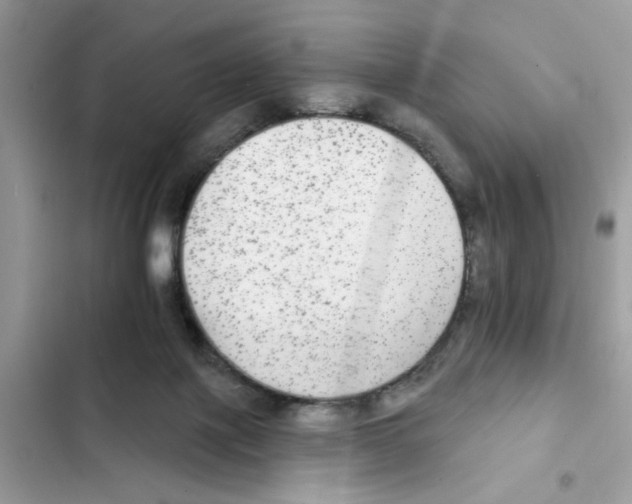 X0000101970075200808151348