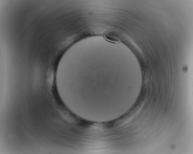 X0000101970076200808151348