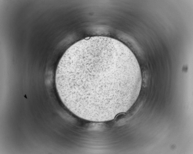 X0000101970077200808151348