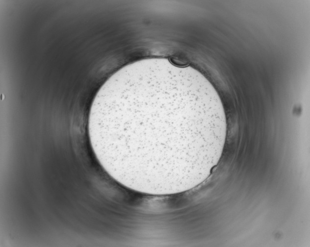 X0000101970078200808151348