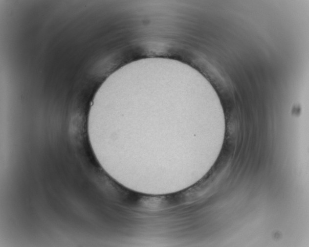 X0000101970079200808151348