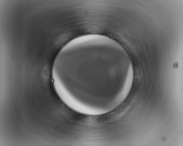 X0000101970080200808151348