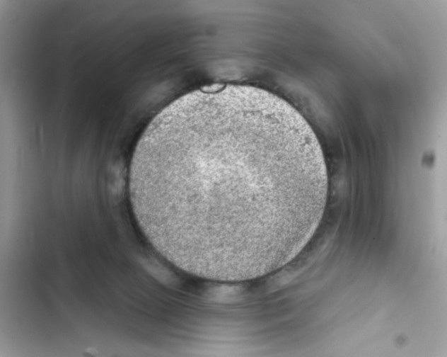 X0000101970081200808151348