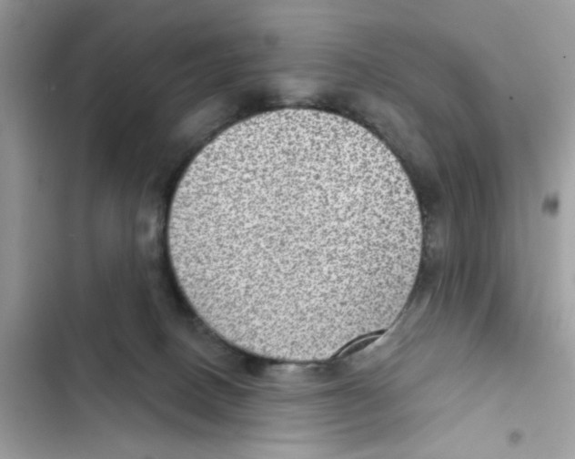 X0000101970082200808151348