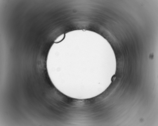 X0000101970083200808151348