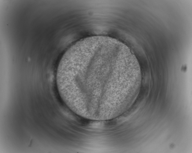 X0000101970084200808151348