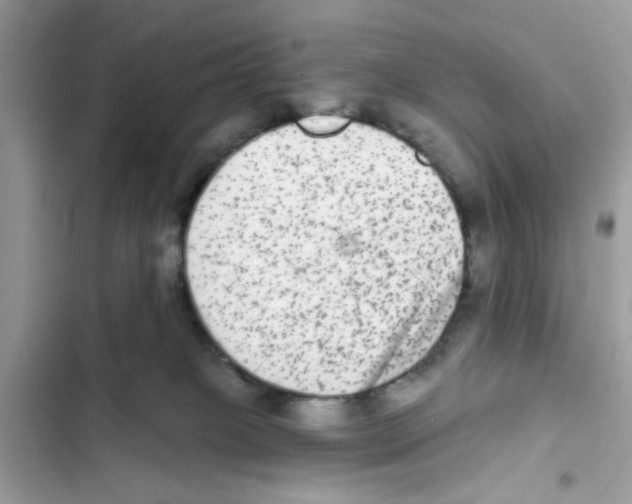 X0000101970085200808151348