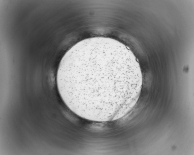 X0000101970086200808151348