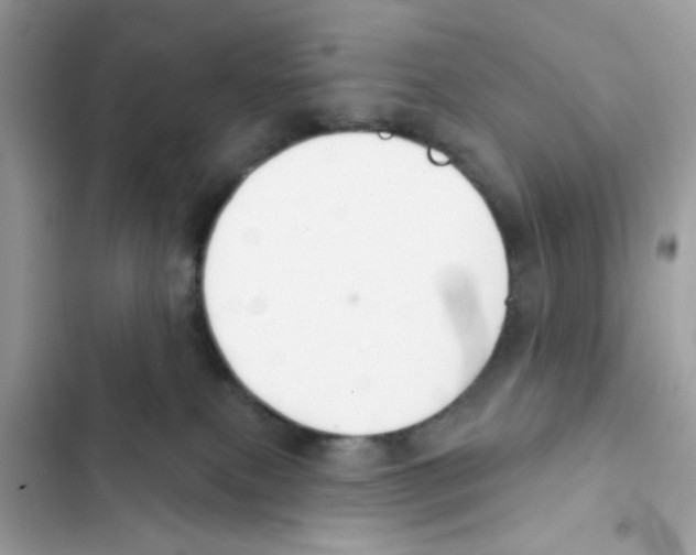 X0000101970087200808151348