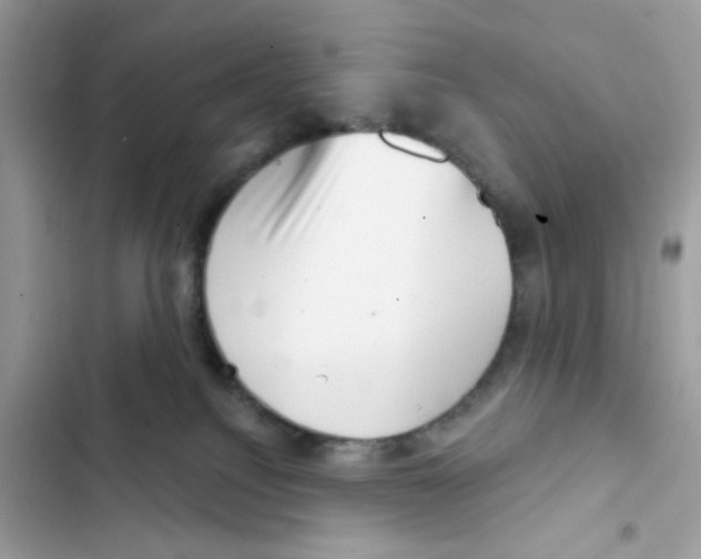 X0000101970088200808151348