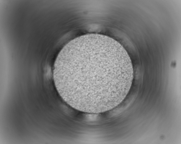 X0000101970089200808151348