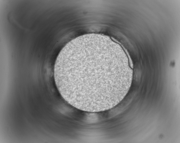 X0000101970091200808151348