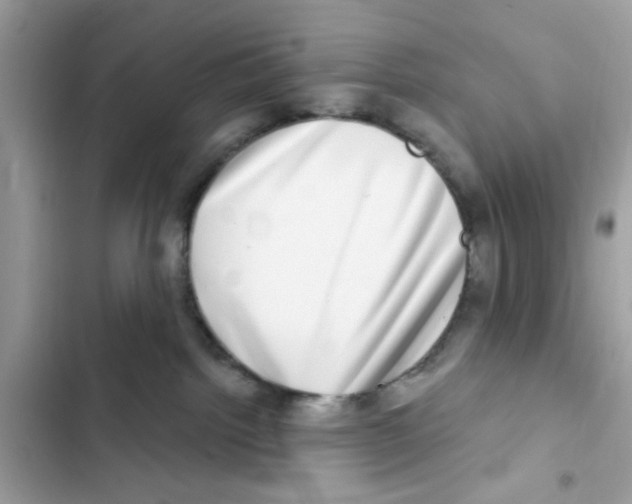 X0000101970092200808151348