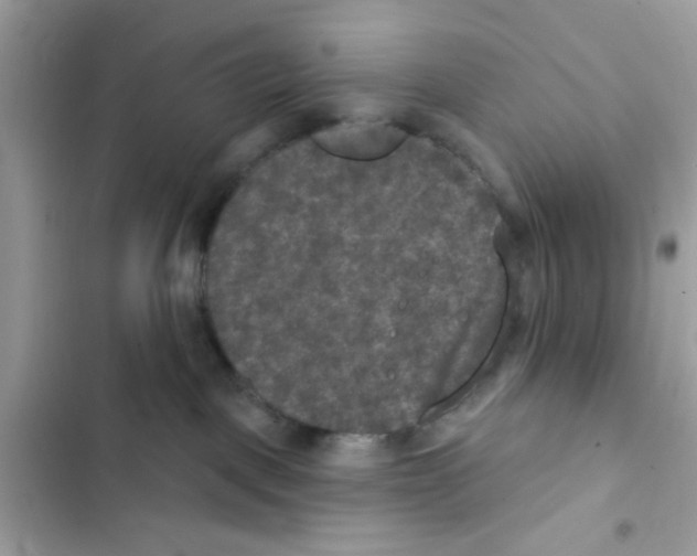 X0000101970093200808151348
