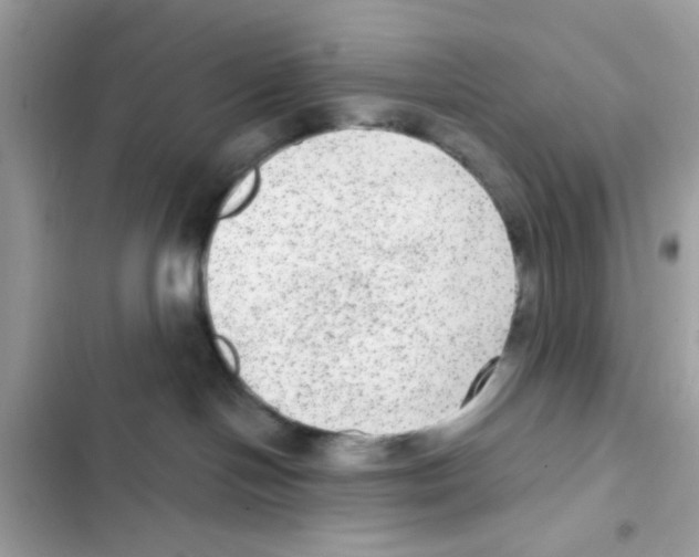 X0000101970094200808151348