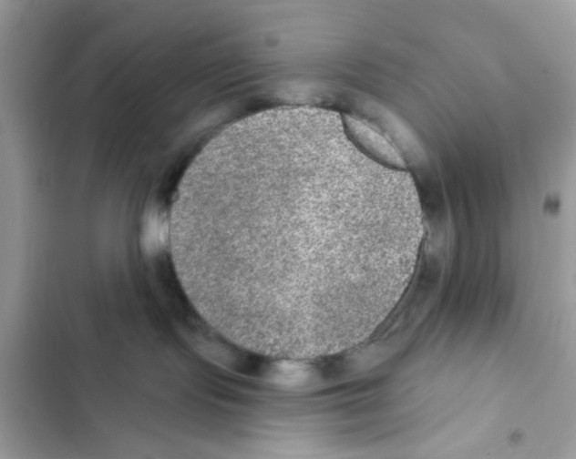 X0000101970095200808151348