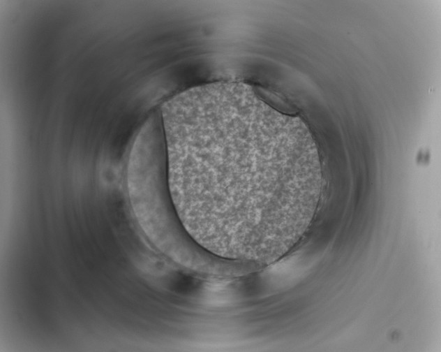 X0000101970096200808151348