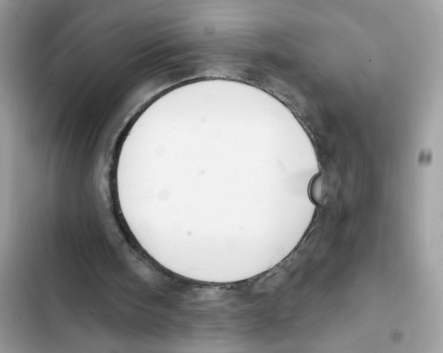 X0000101970098200808151347