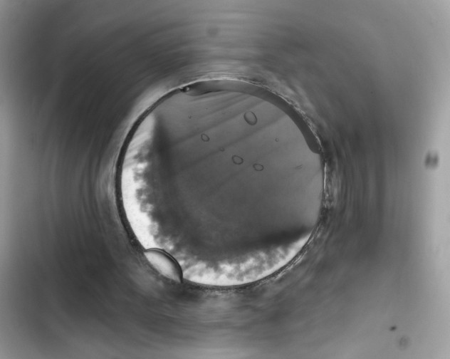 X0000101970099200808151347