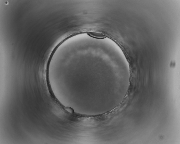 X0000101970100200808151347