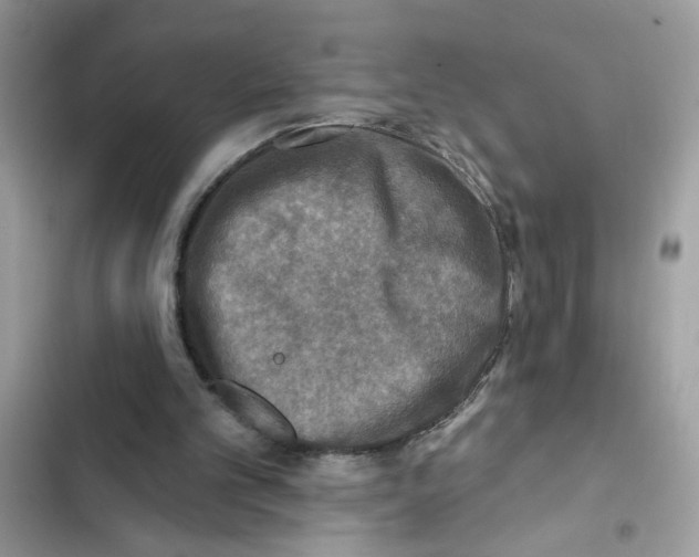 X0000101970101200808151347