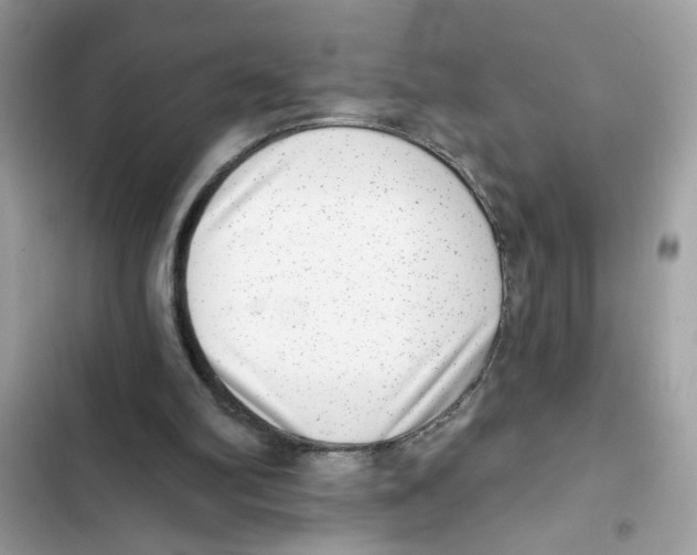 X0000101970102200808151347