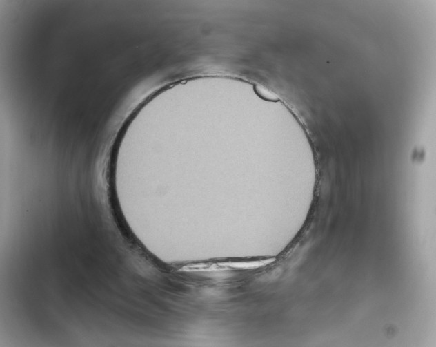 X0000101970103200808151347