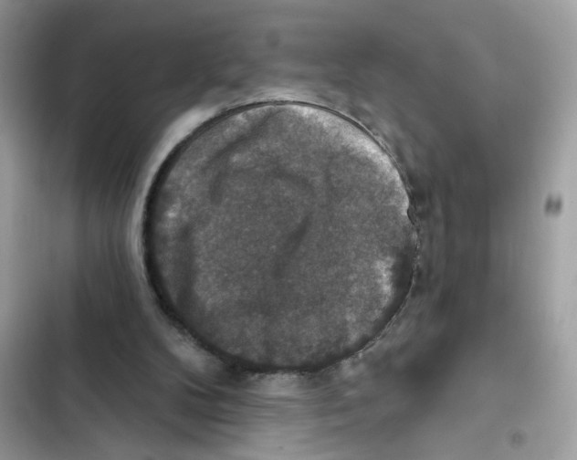X0000101970104200808151347