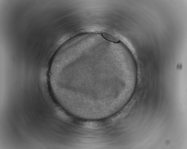 X0000101970105200808151347