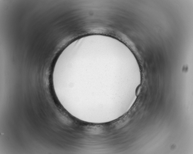 X0000101970106200808151347