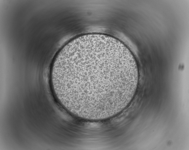 X0000101970107200808151347