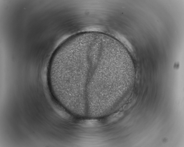 X0000101970108200808151347