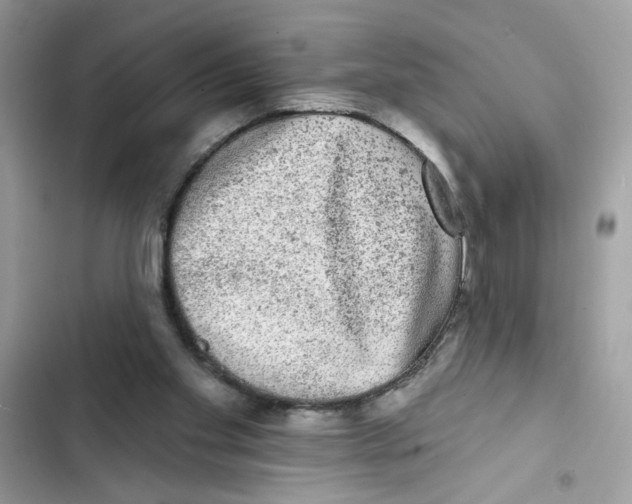 X0000101970109200808151347