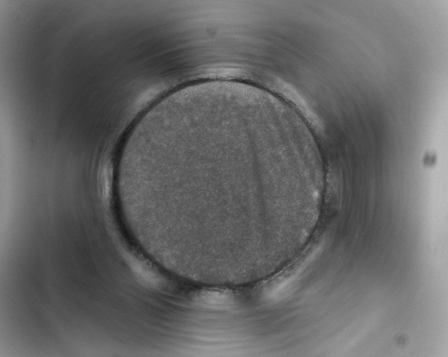 X0000101970110200808151347