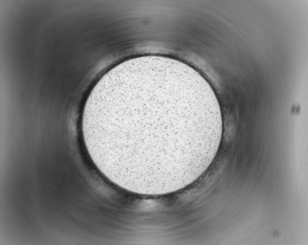 X0000101970111200808151347
