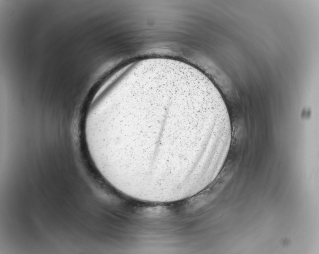 X0000101970112200808151347