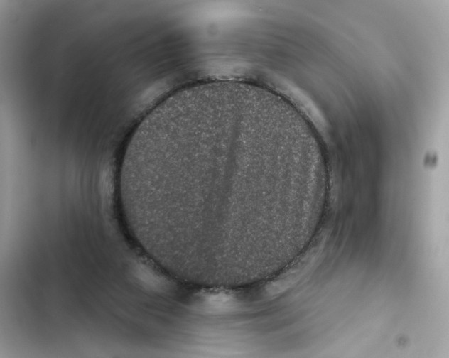 X0000101970113200808151347