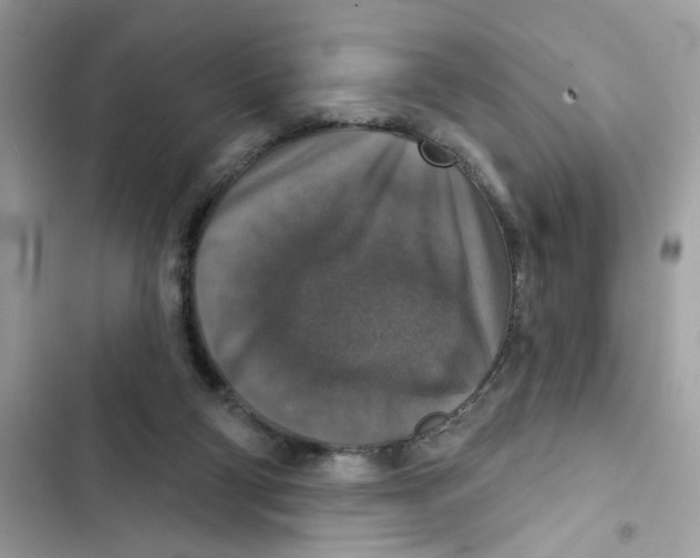 X0000101970114200808151347