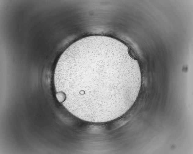 X0000101970115200808151347