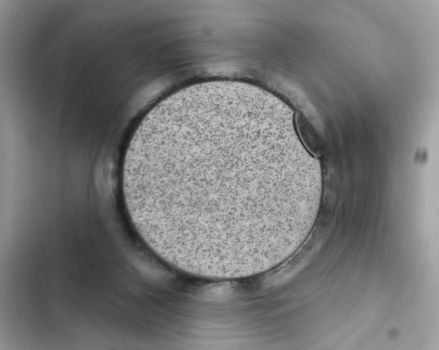 X0000101970116200808151347