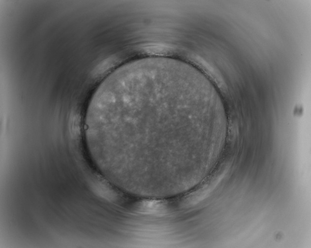 X0000101970117200808151347