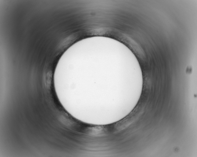 X0000101970118200808151347