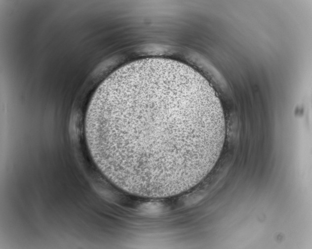 X0000101970119200808151347
