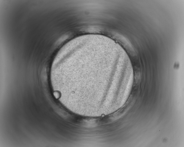 X0000101970120200808151347