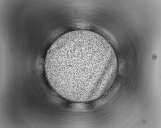 X0000101970121200808151347