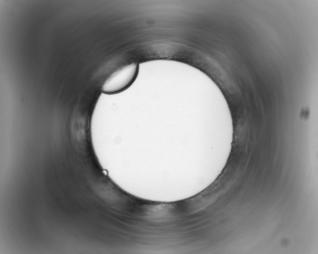 X0000101970122200808151347