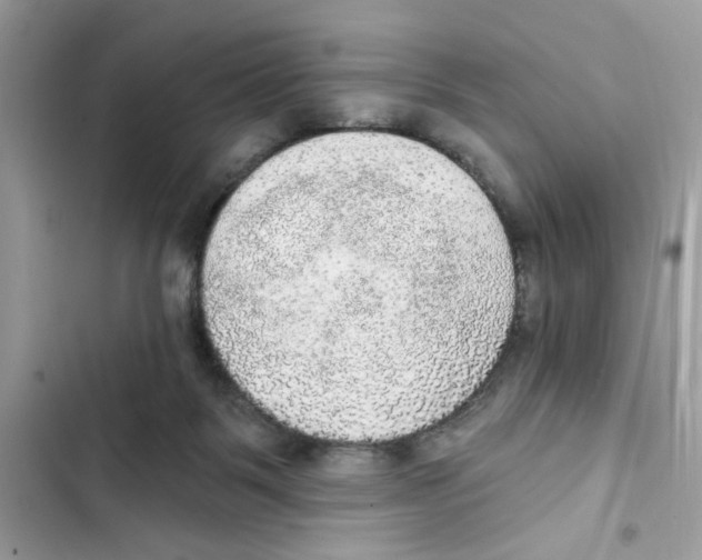 X0000101970123200808151347